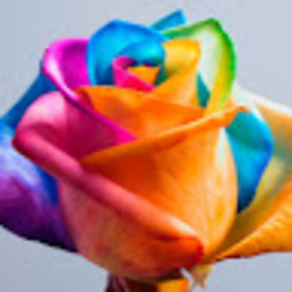 Meet your Posher, Jessie - Picture 1 of 1